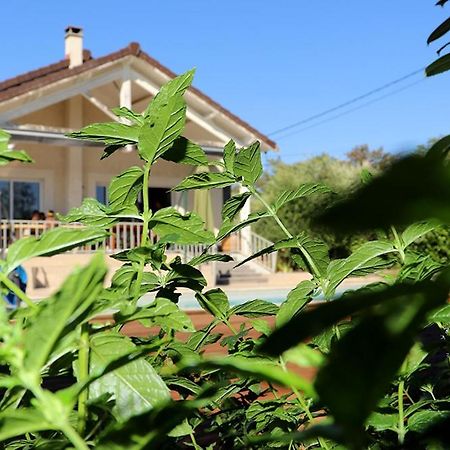 Maison les coquelicots Lyon Extérieur photo
